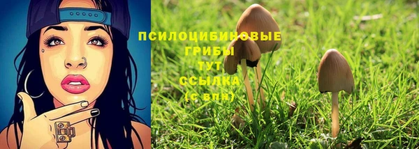 трава Алзамай